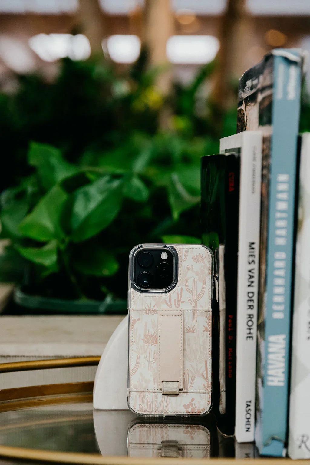 Cactus Flower by Alyssa Johnson